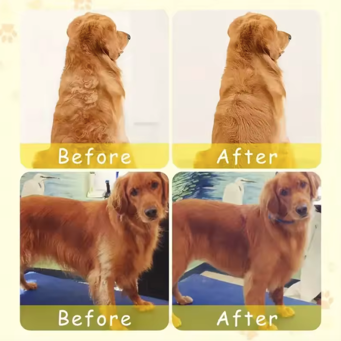 Steamy Pet Brush Electric Spray Yellow