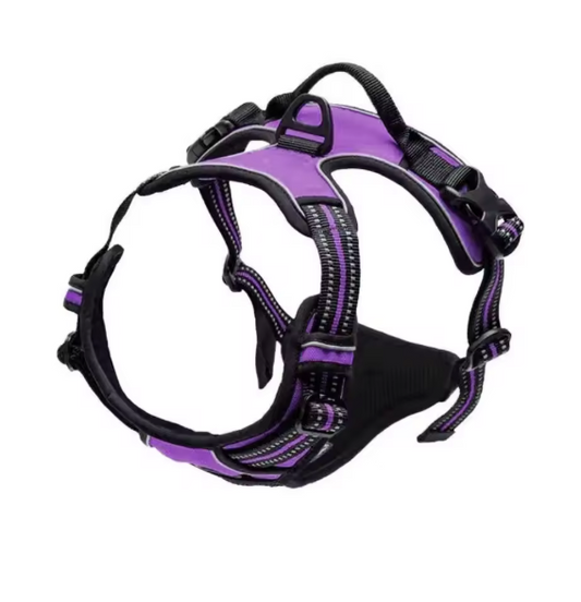 Dog Vest Purple